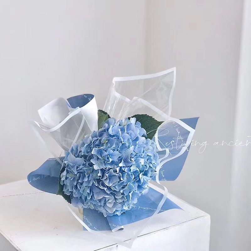 MYHC-15 Carta da regalo per fiori in plastica con bordo monocromatico trasparente