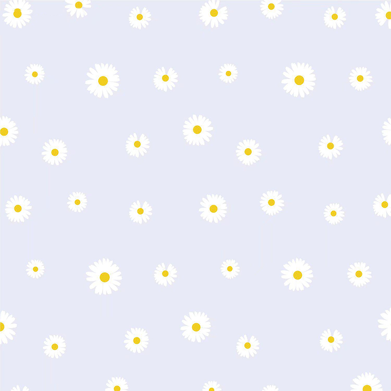 MYHC-18 Carta da regalo per fiori con pellicola Fresh Little Daisy Pearl