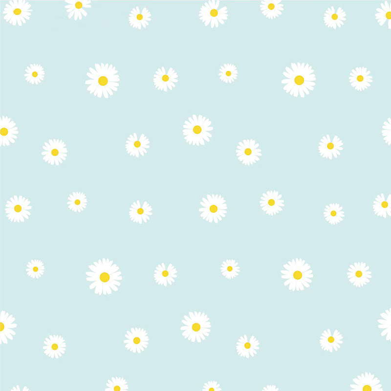MYHC-18 Carta da regalo per fiori con pellicola Fresh Little Daisy Pearl