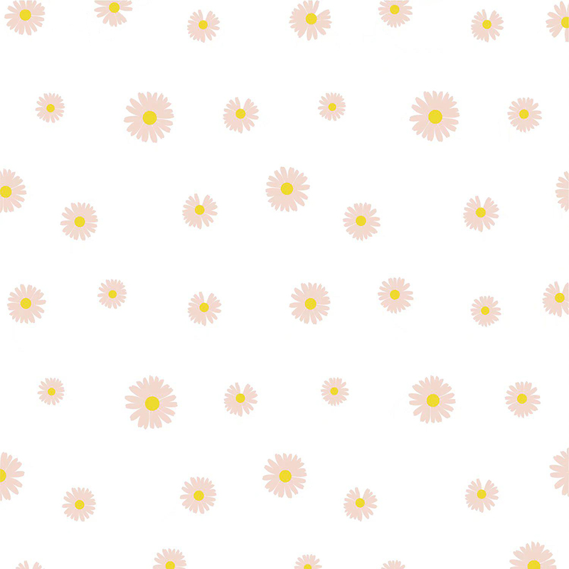 MYHC-18 Carta da regalo per fiori con pellicola Fresh Little Daisy Pearl