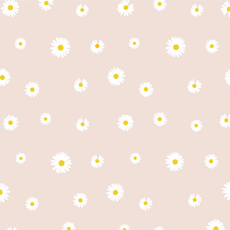 MYHC-18 Carta da regalo per fiori con pellicola Fresh Little Daisy Pearl