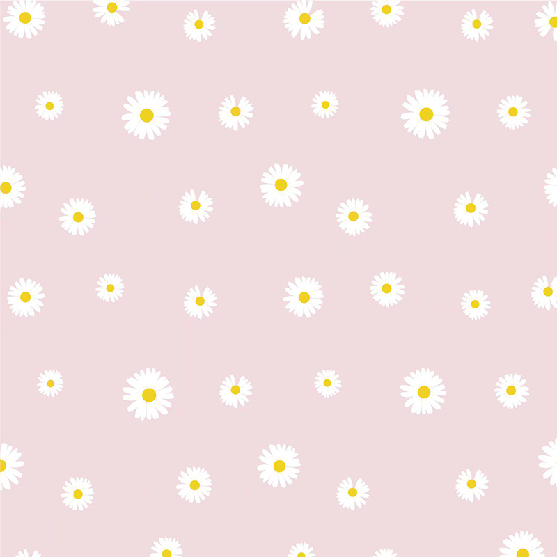 MYHC-18 Carta da regalo per fiori con pellicola Fresh Little Daisy Pearl