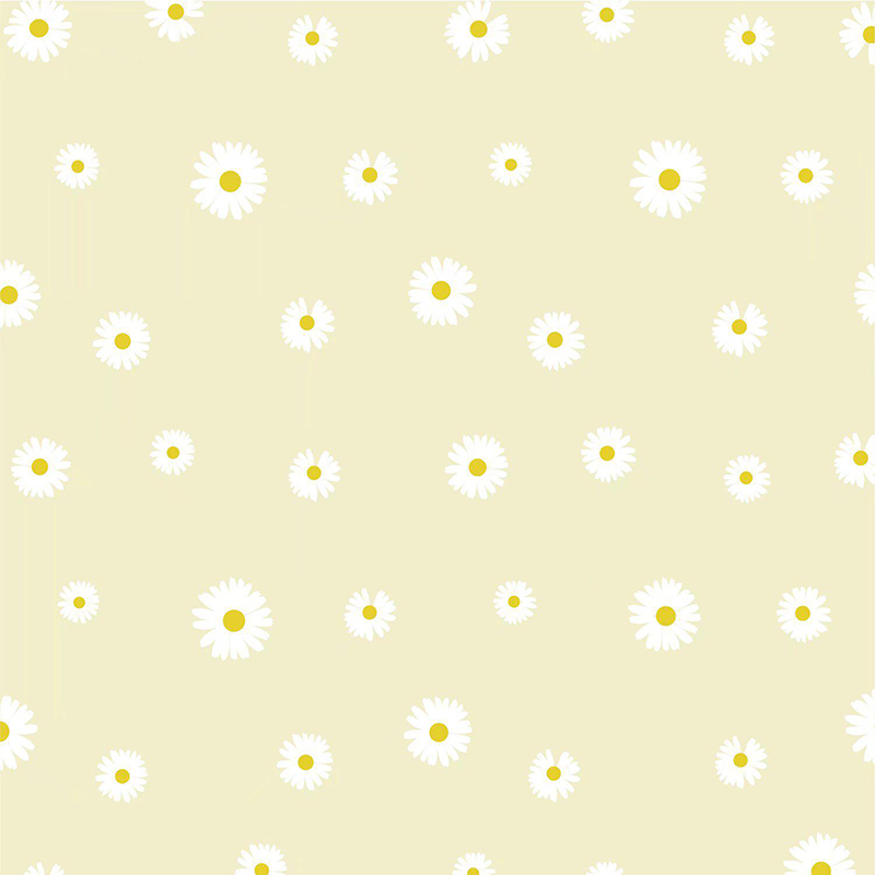 MYHC-18 Carta da regalo per fiori con pellicola Fresh Little Daisy Pearl
