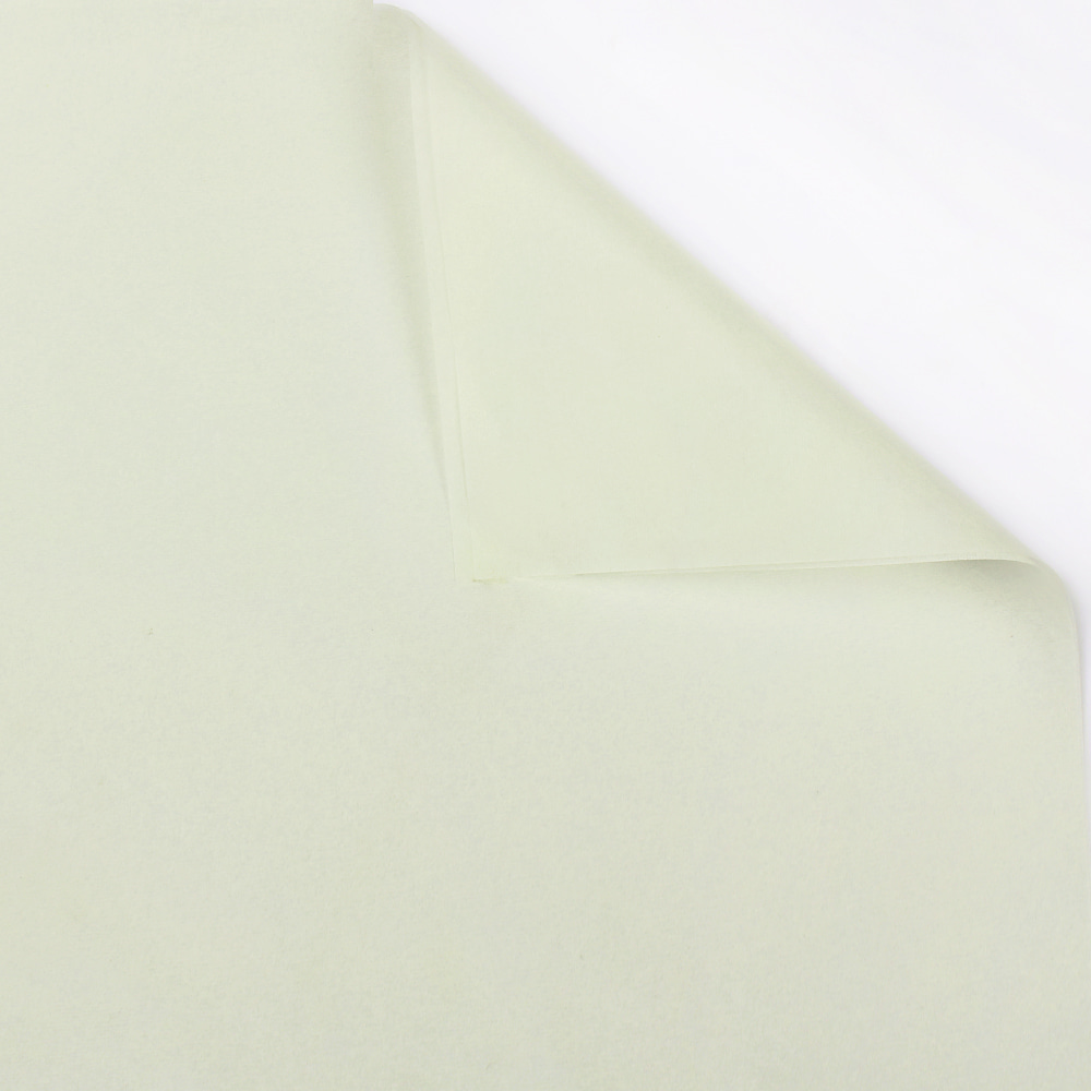 Carta da regalo colorata con fiori di carta pera di neve