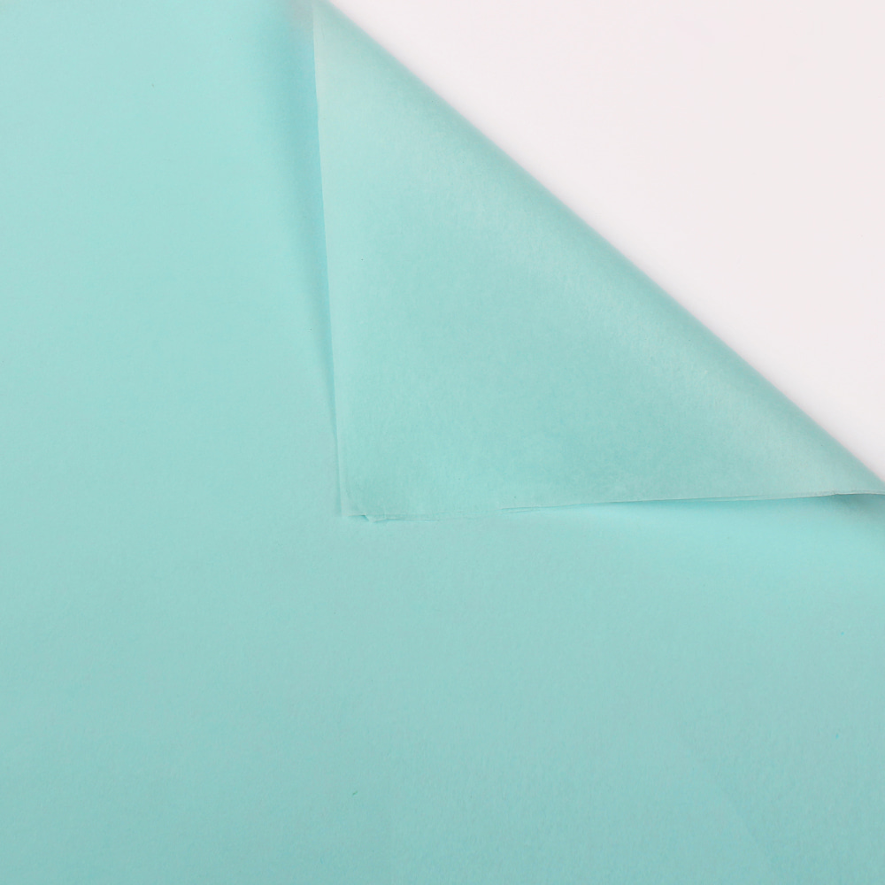 Carta da regalo colorata con fiori di carta pera di neve