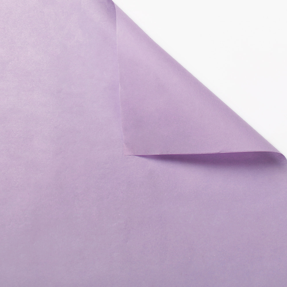 Carta da regalo colorata con fiori di carta pera di neve